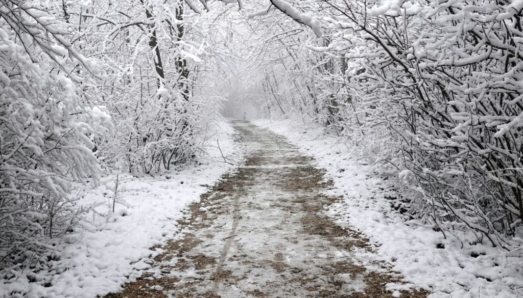 snowy path2